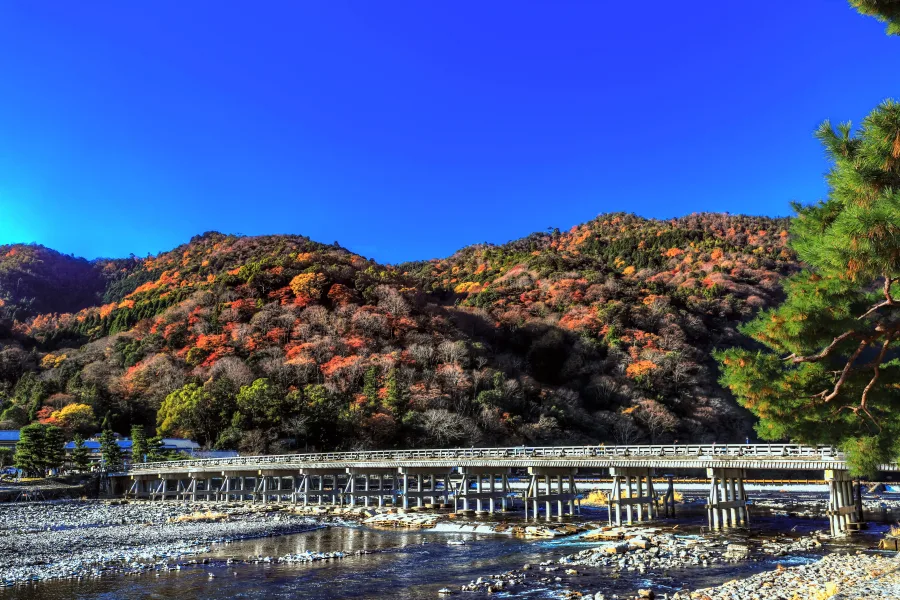 Kyoto Togetsukyo Bridge during peak autumn foliage with hillsides blazing in crimson, gold, and amber