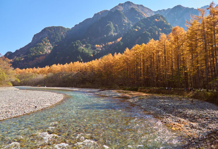 Kamikochi Kappa Bridge in Nagano with vivid autumn foliage along the Azusa River