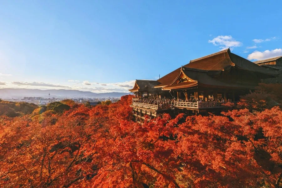 Japan Temples Color Japan Autumn Foliage (Kōyō) Live Tracker 2026: Peak Color Wave by ...
