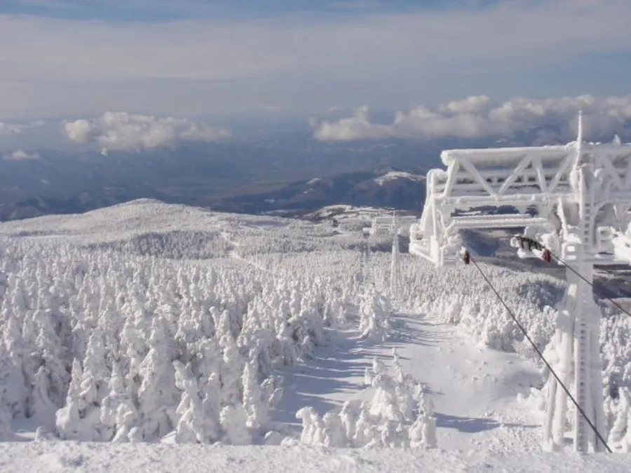 Giant rime-encrusted coniferous trees known as snow monsters (Juhyo) on Mount Zao slopes