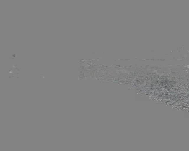 淡水河堤岸旁-2