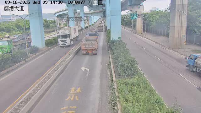 臨港大道
