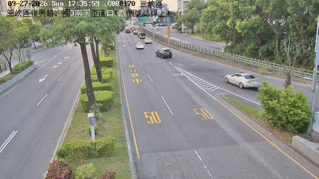 三峽區復興路、國3南下匝道口(西側號誌桿上)