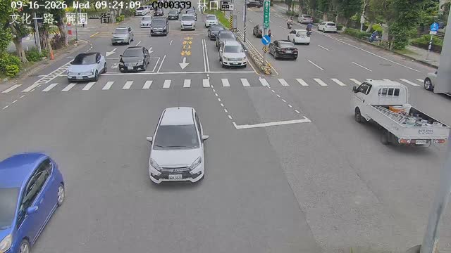 林口區文化一路麗園一街