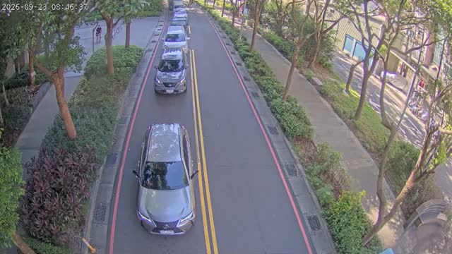 中原街/中板路(中原街-南)