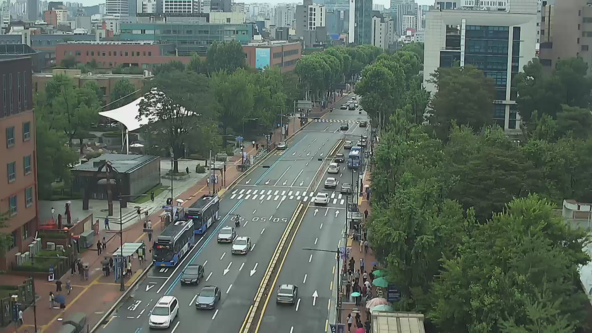 大學路