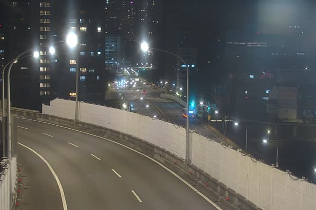 054-環東快成功橋