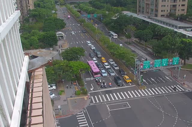 075-信義松仁