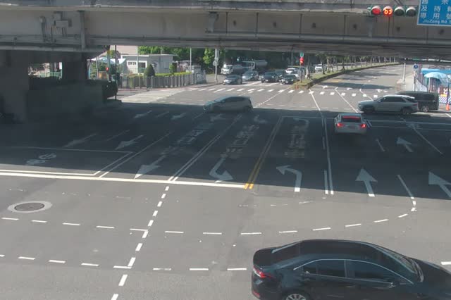 119-堤頂-民權東路6段(橋上)
