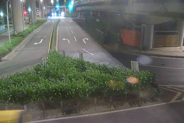 219-環東大道經貿二路出口匝道綠帶