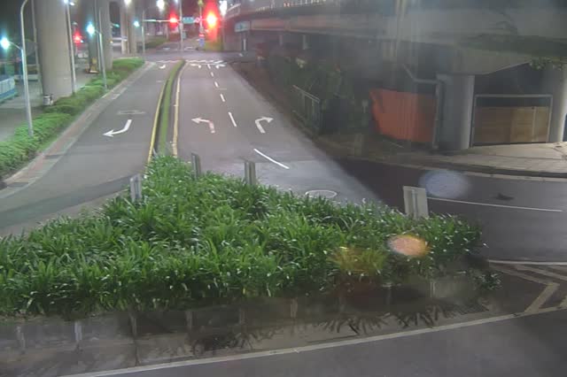 219-環東大道經貿二路出口匝道綠帶