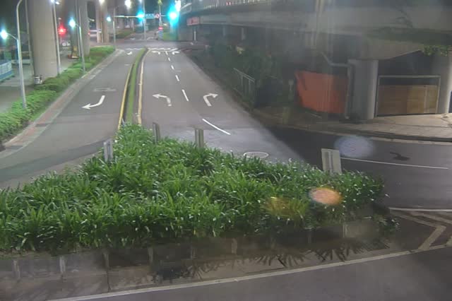 219-環東大道經貿二路出口匝道綠帶