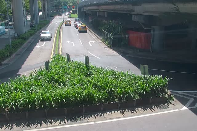 219-環東大道經貿二路出口匝道綠帶
