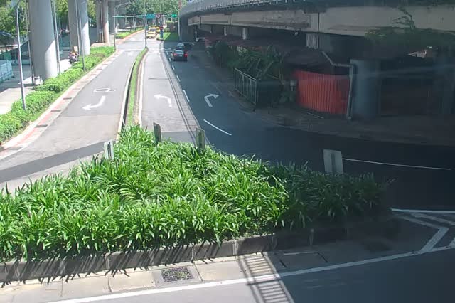 219-環東大道經貿二路出口匝道綠帶