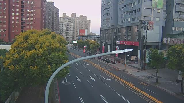 中豐路與環南路(10米桿)