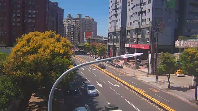 中豐路與環南路(10米桿)