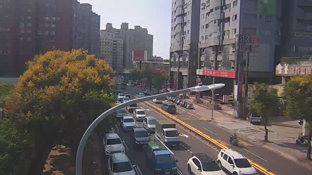 中豐路與環南路(10米桿)