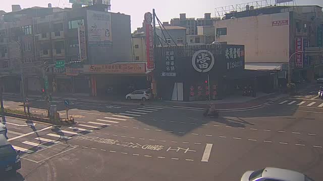 環南路延平路口(延平北向路口前分隔島號誌桿)
