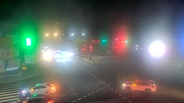 長壽路與忠義路(10米桿)